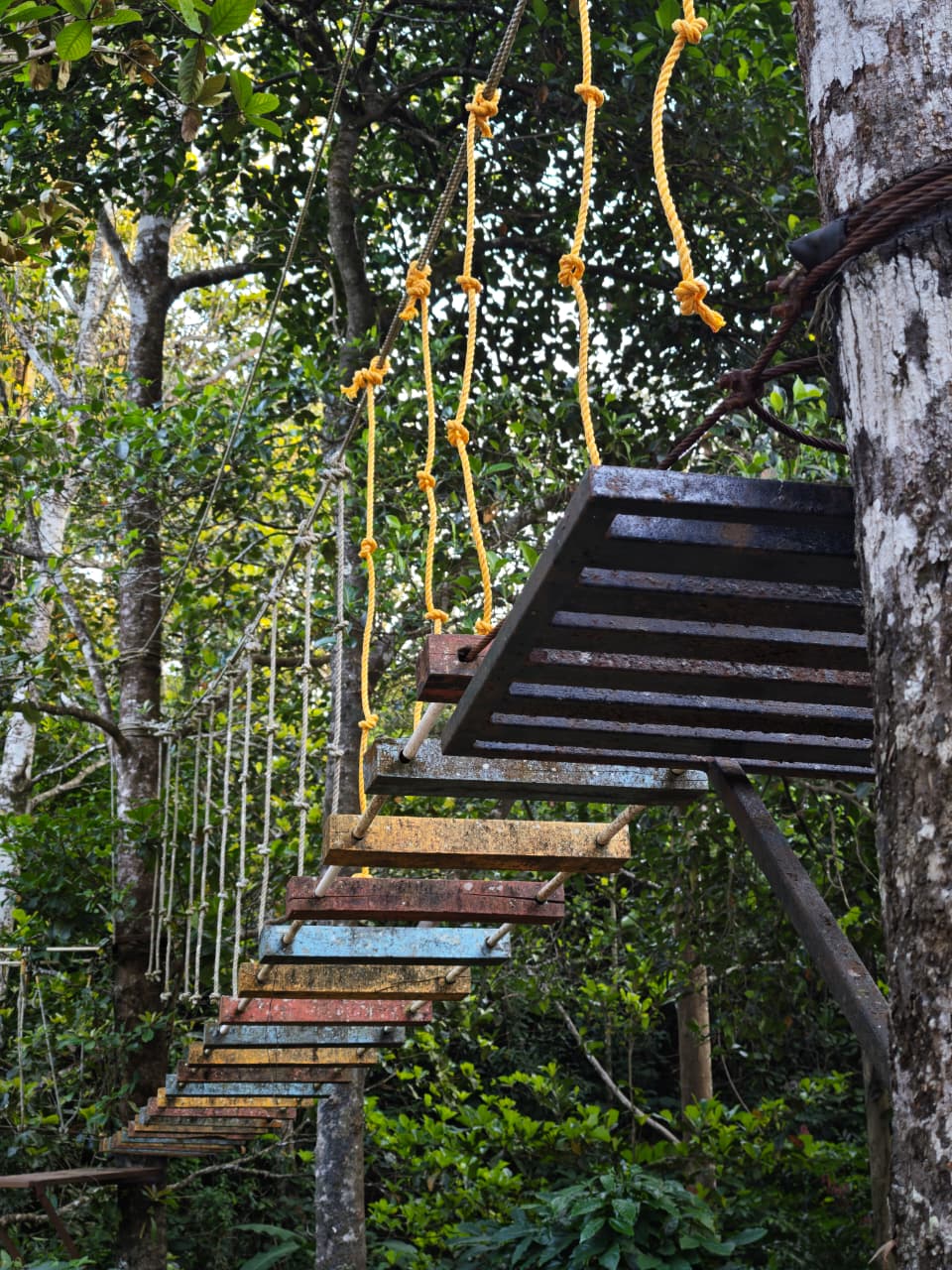 Luxury Resort Deck